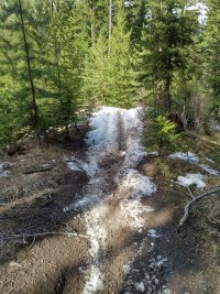 Photos from BC trip 2017 r02 wp0450 2017 04 26 15 36 00