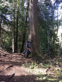 Photos from BC trip 2017 IMG 0051