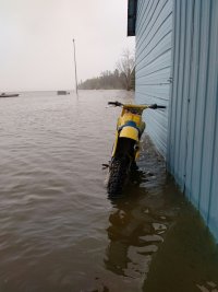 Random family photos bike 2