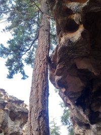 Photos from BC trip 2017 IMG 20170428 1645050